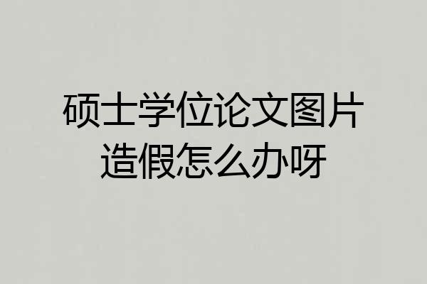 硕士学位论文图片造假怎么办呀