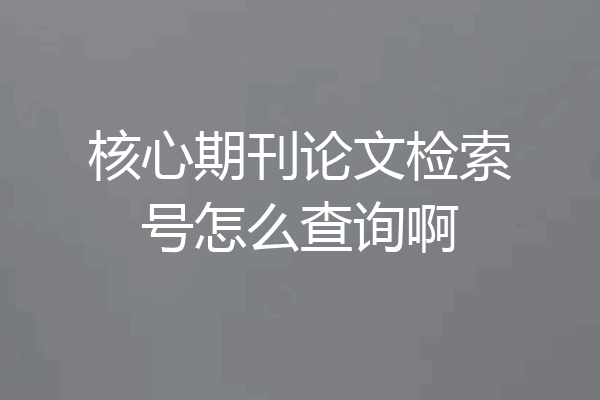 核心期刊论文检索号怎么查询啊