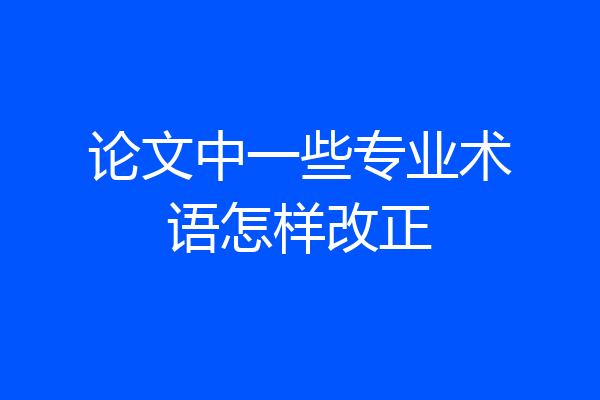 论文中一些专业术语怎样改正