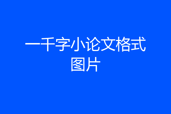 一千字小论文格式图片
