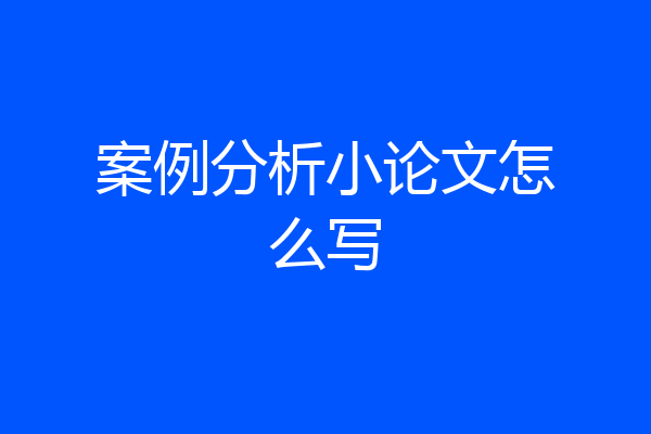 案例分析小论文怎么写