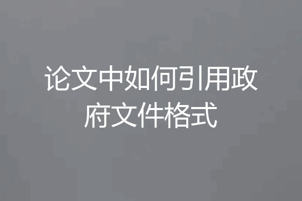 论文中如何引用政府文件格式