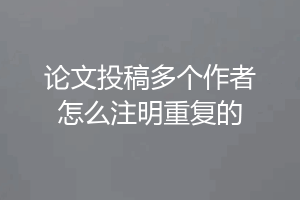 论文投稿多个作者怎么注明重复的