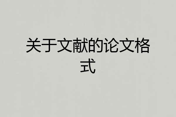 关于文献的论文格式