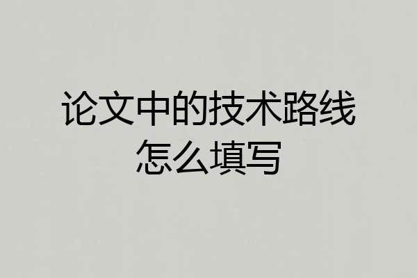 论文中的技术路线怎么填写