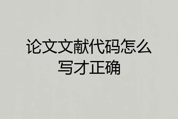 论文文献代码怎么写才正确