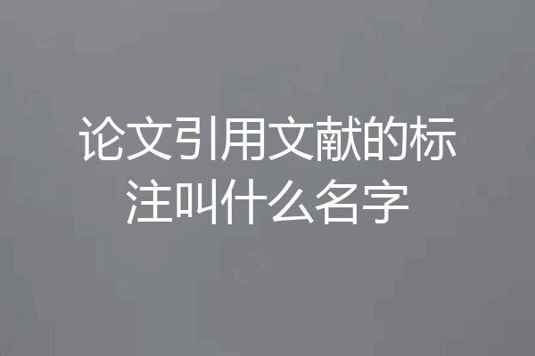 论文引用文献的标注叫什么名字
