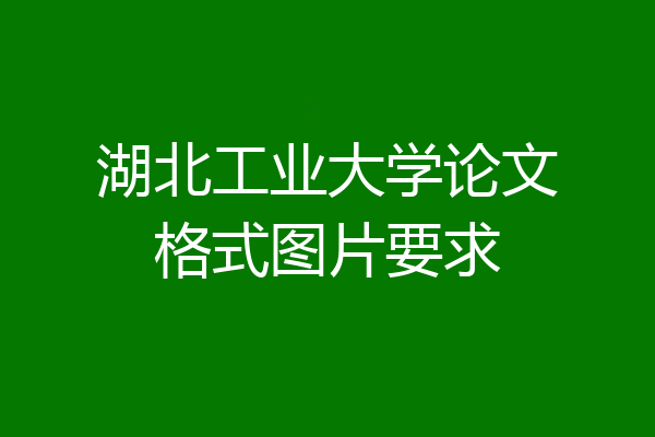 湖北工业大学论文格式图片要求