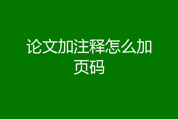 论文加注释怎么加页码