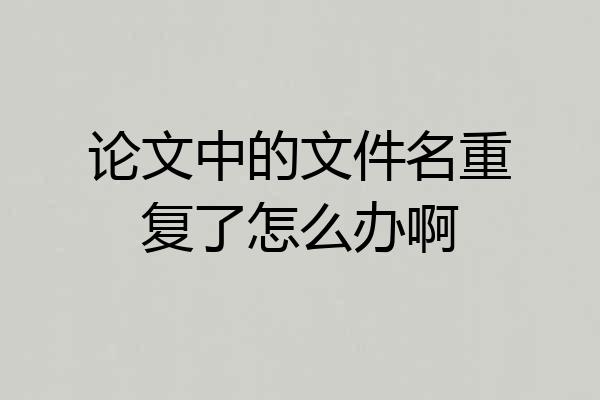 论文中的文件名重复了怎么办啊