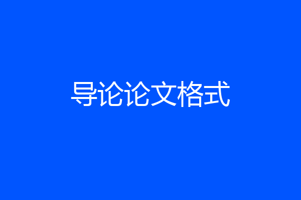 导论论文格式
