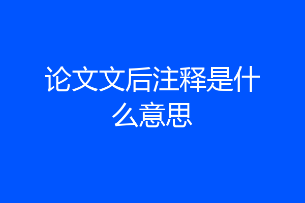 论文文后注释是什么意思