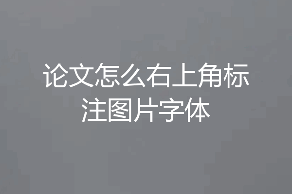 论文怎么右上角标注图片字体