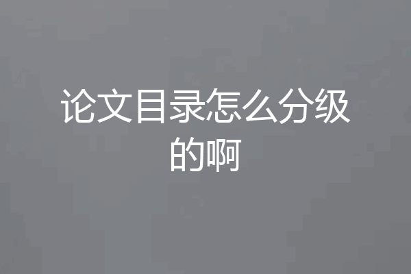 论文目录怎么分级的啊