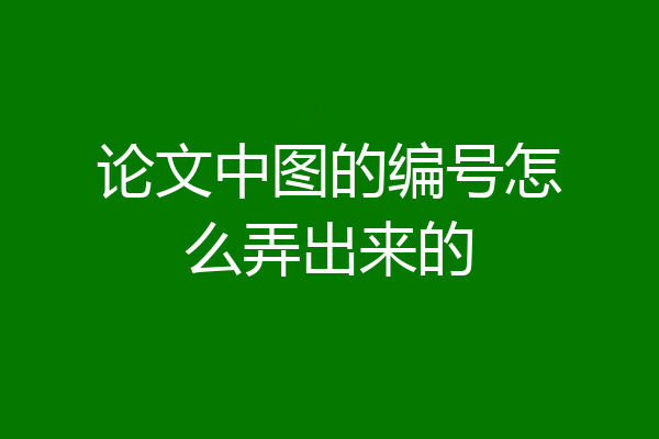 论文中图的编号怎么弄出来的