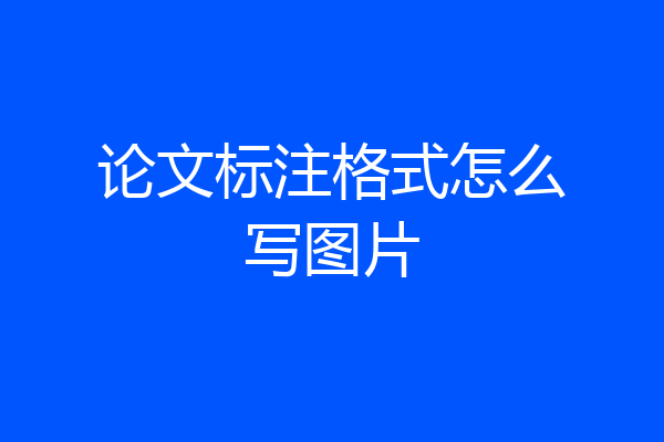 论文标注格式怎么写图片