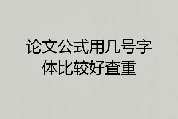 论文公式用几号字体比较好查重