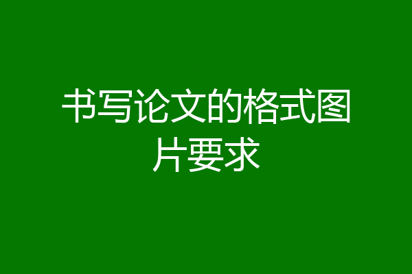 书写论文的格式图片要求