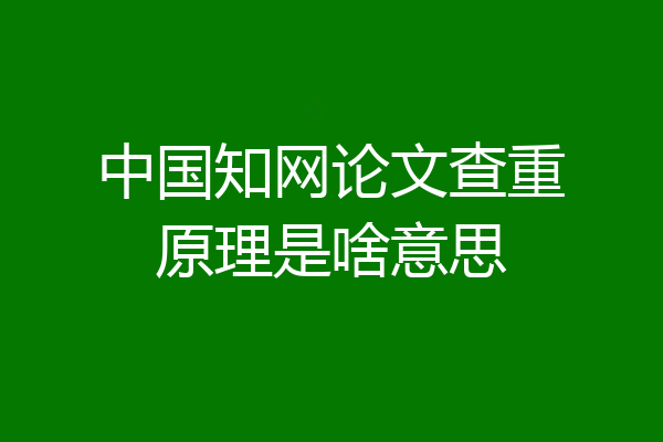 中国知网论文查重原理是啥意思
