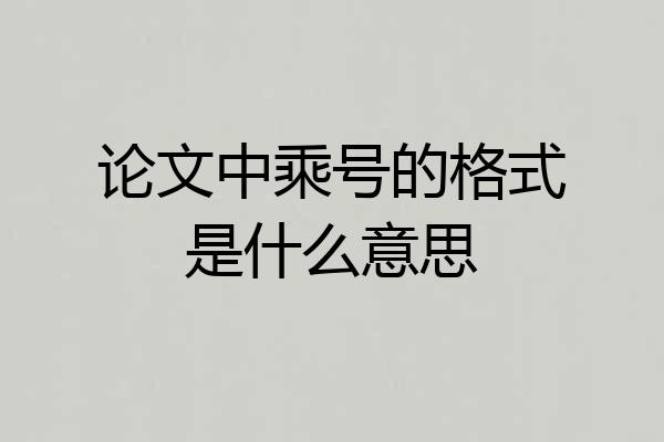 论文中乘号的格式是什么意思