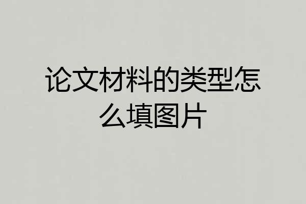 论文材料的类型怎么填图片