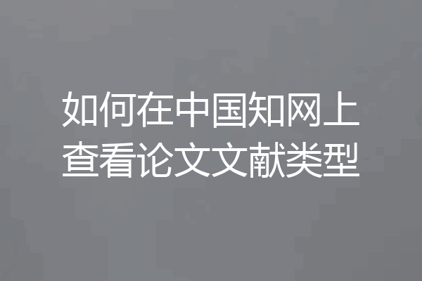 如何在中国知网上查看论文文献类型