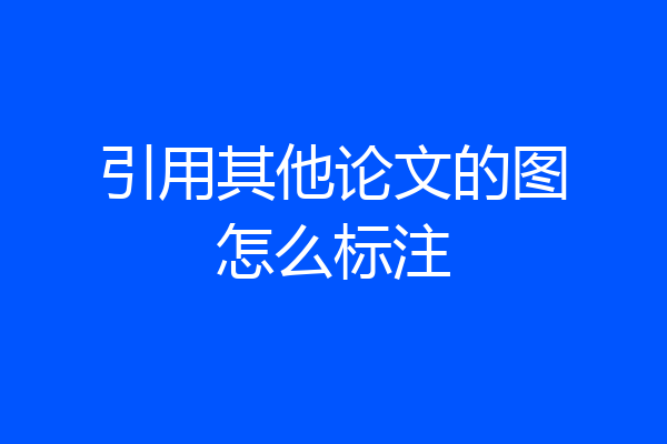 引用其他论文的图怎么标注