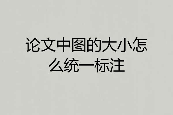 论文中图的大小怎么统一标注