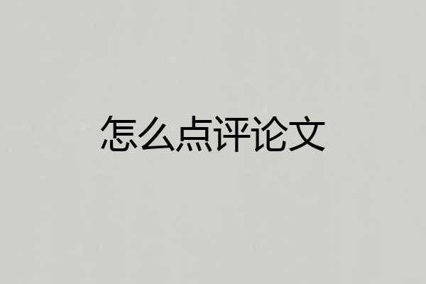 怎么点评论文