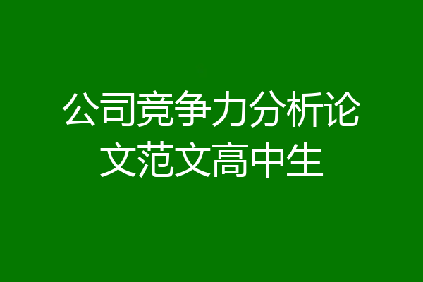 公司竞争力分析论文范文高中生