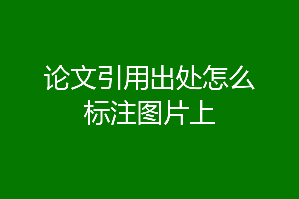 论文引用出处怎么标注图片上