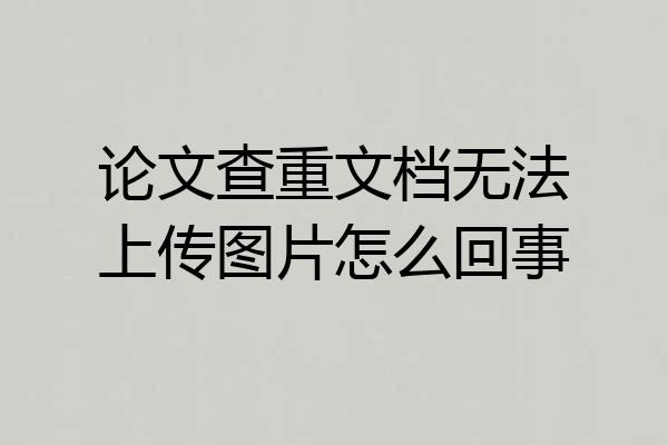 论文查重文档无法上传图片怎么回事