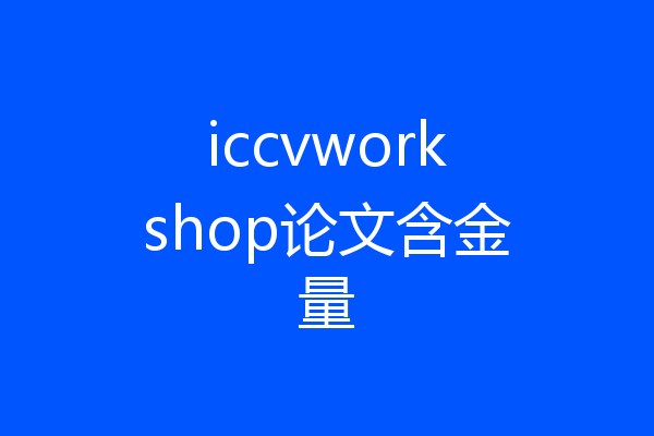 iccvworkshop论文含金量
