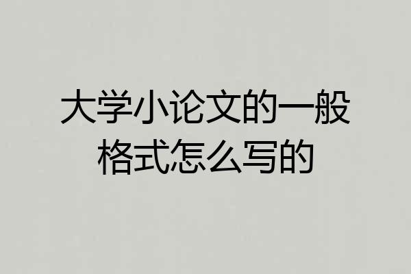 大学小论文的一般格式怎么写的