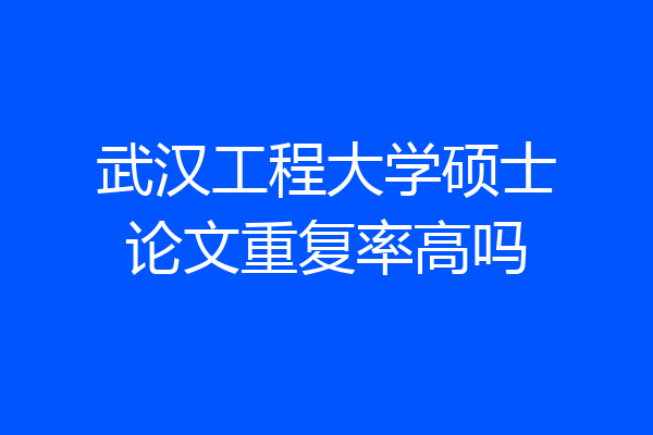武汉工程大学硕士论文重复率高吗