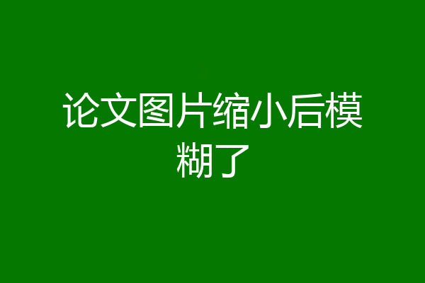 论文图片缩小后模糊了