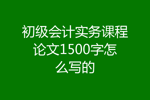 初级会计实务课程论文1500字怎么写的