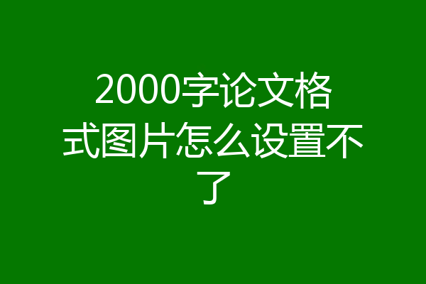 2000字论文格式图片怎么设置不了