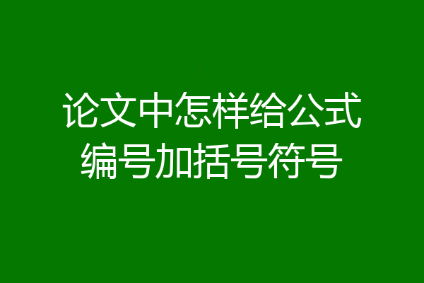论文中怎样给公式编号加括号符号