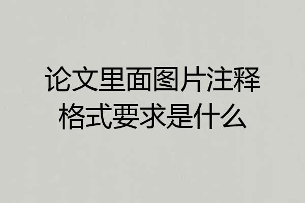 论文里面图片注释格式要求是什么