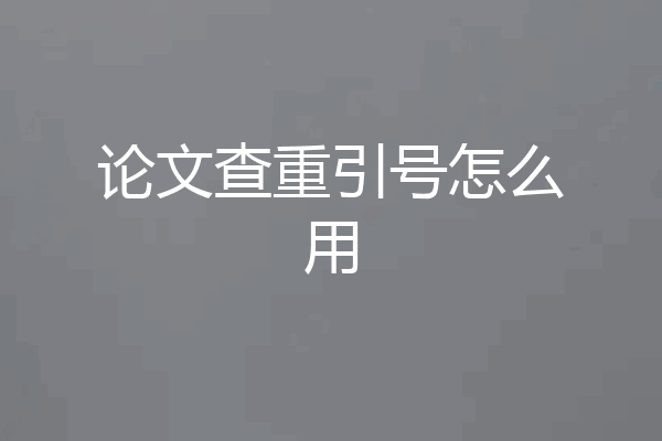 论文查重引号怎么用
