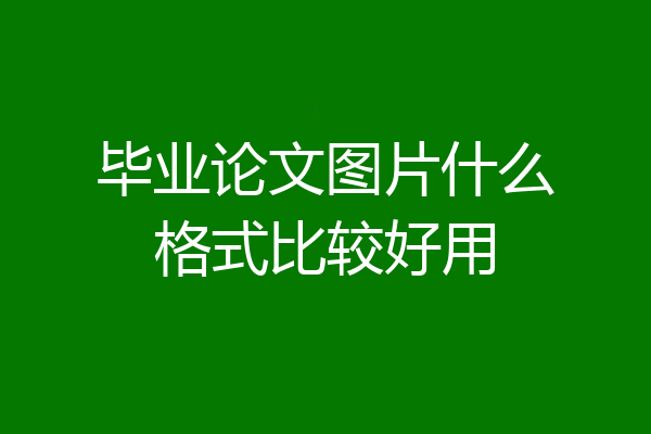 毕业论文图片什么格式比较好用