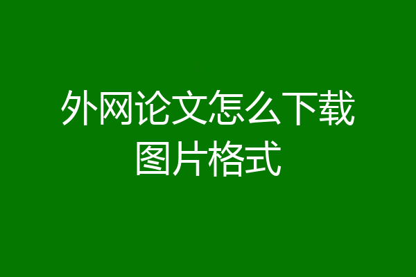 外网论文怎么下载图片格式