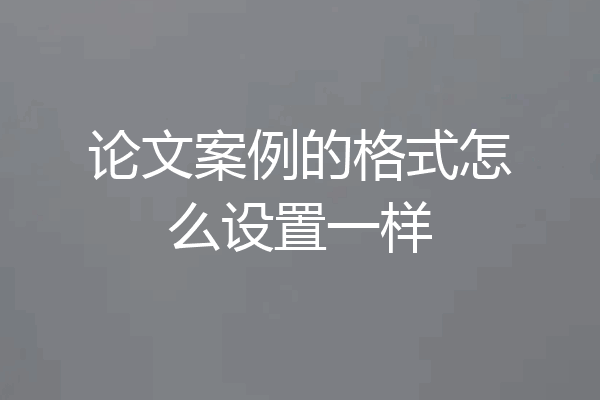 论文案例的格式怎么设置一样