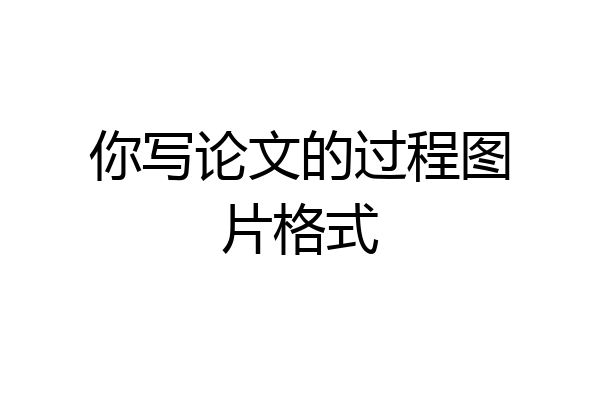 你写论文的过程图片格式