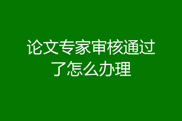 论文专家审核通过了怎么办理