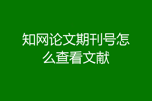 知网论文期刊号怎么查看文献