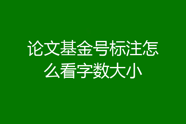 论文基金号标注怎么看字数大小