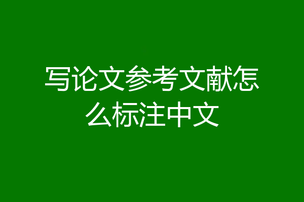 写论文参考文献怎么标注中文