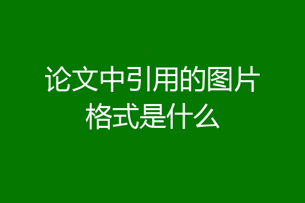 论文中引用的图片格式是什么